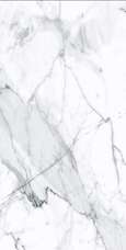 N141070 Керамогранит Alpas Premium Marble Visage Grey Plus Pol. 60x120