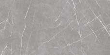 IRN000023 Керамический гранит Ocean Ceramic Coco Light Grey 60x120