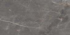 OC0000117 Керамогранит Ocean Ceramic Tulip Grey Polished 60x120