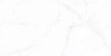 131.114.1111 Керамогранит Art&Natura Onyx Liola White Glossy 60х120