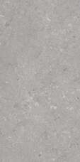 005485 Керамогранит Dado Ceramica Shellstone Grigio 60x120